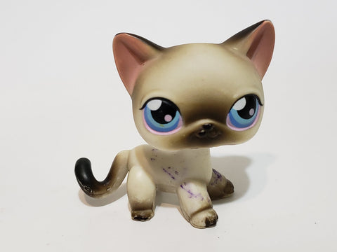 Littlest Pet Shop Cat Shorthair Siamese 5 Main 5 US Seller Authentic  Slightly Blemished As Shown  MAY19J86