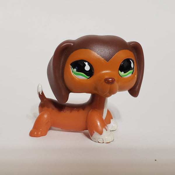 LIKE NEW Littlest Pet Shop Savannah Dachshund Dachsund Savvy  675 HTF LPS Dashund Authentic DEC08J