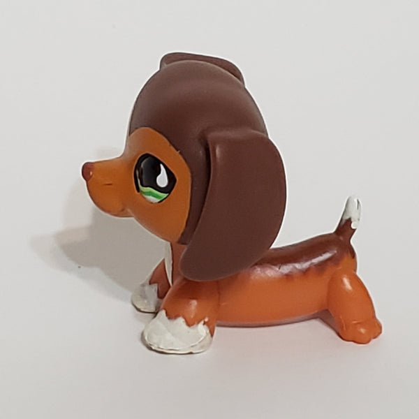 LIKE NEW Littlest Pet Shop Savannah Dachshund Dachsund Savvy  675 HTF LPS Dashund Authentic DEC08J