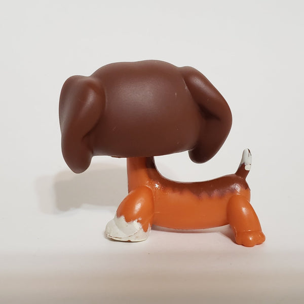 LIKE NEW Littlest Pet Shop Savannah Dachshund Dachsund Savvy  675 HTF LPS Dashund Authentic DEC08J