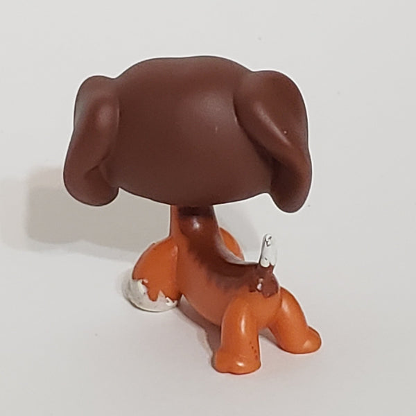 LIKE NEW Littlest Pet Shop Savannah Dachshund Dachsund Savvy  675 HTF LPS Dashund Authentic DEC08J