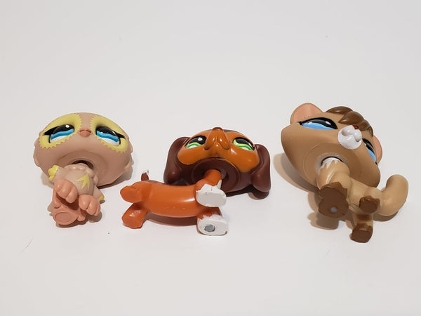 WW Littlest Pet Shop Pet Trainin' Park Fox 673 Owl 674 Dachshund 675 Set Authentic AUG31J