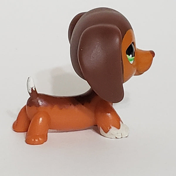 LIKE NEW Littlest Pet Shop Savannah Dachshund Dachsund Savvy  675 HTF LPS Dashund Authentic DEC08J