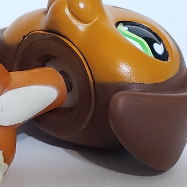 LIKE NEW Littlest Pet Shop Savannah Dachshund Dachsund Savvy  675 HTF LPS Dashund Authentic DEC08J