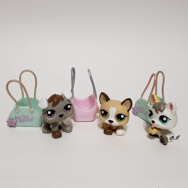 WW Littlest Pet Shop Rare European Petriplet Puppy Dog 1876 1877 1878 with Basket Carrier Accessory LPS Authentic AIK AUG12J