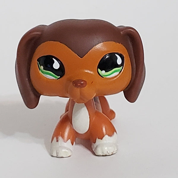LIKE NEW Littlest Pet Shop Savannah Dachshund Dachsund Savvy  675 HTF LPS Dashund Authentic DEC08J