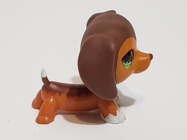 Littlest Pet Shop Savannah Dachshund Dachsund Savvy  675 HTF LPS Dashund Authentic JUN11J