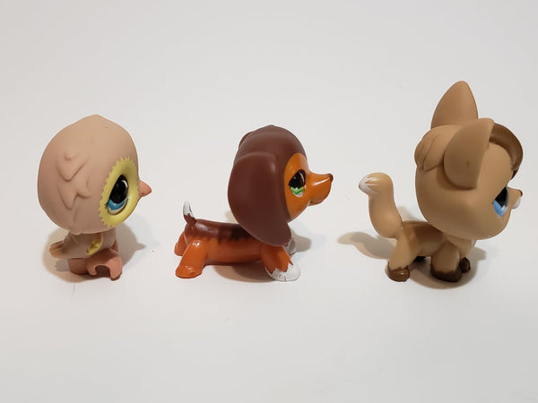WW Littlest Pet Shop Pet Trainin' Park Fox 673 Owl 674 Dachshund 675 Set Authentic AUG31J