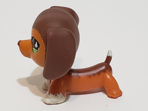 Littlest Pet Shop Savannah Dachshund Dachsund Savvy  675 HTF LPS Dashund Authentic JUN11J