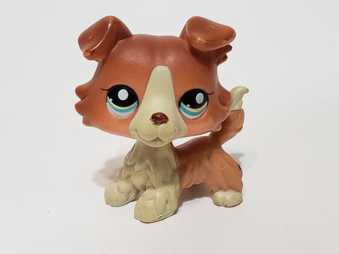 Littlest Pet Shop 1542 Brown Tan White Collie Dog with Blue Eye Rare LPS Aftermarket? MAY14J