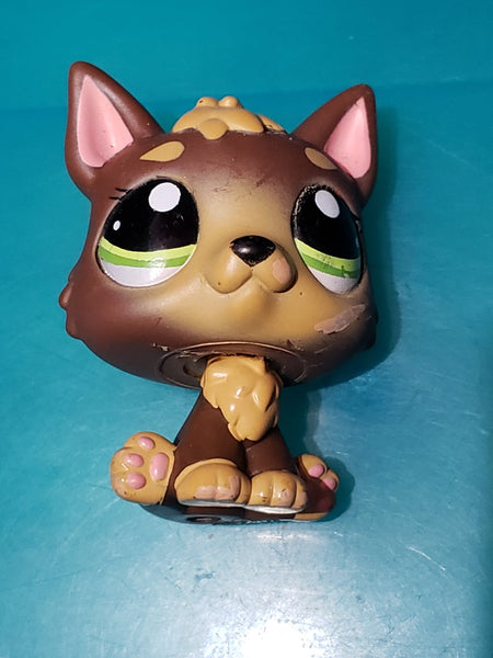Littlest Pet Shop Dog Puppy Wolf German Shepherd 2137 Authentic Lps Minor Wear MAY8J