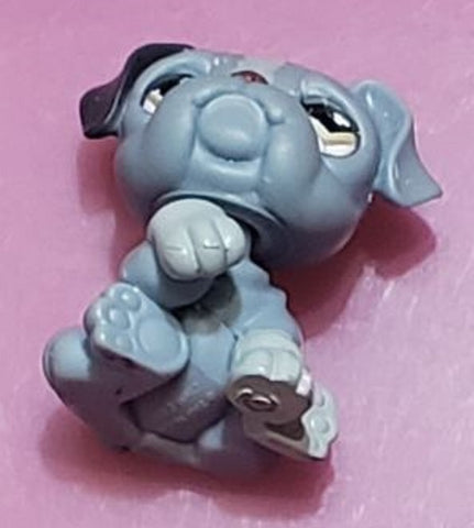 Littlest Pet Shop 668 Blue Gray Bulldog Puppy Brown Eyes Dog Authentic Blemished As Shown JUN3J86