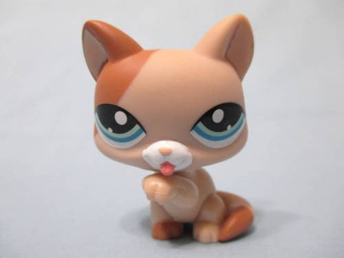 Littlest Pet Shop Shorthair 1363 Tan Brown Paw Licking Kitty Cat Authentic Minor Wear APR13J86