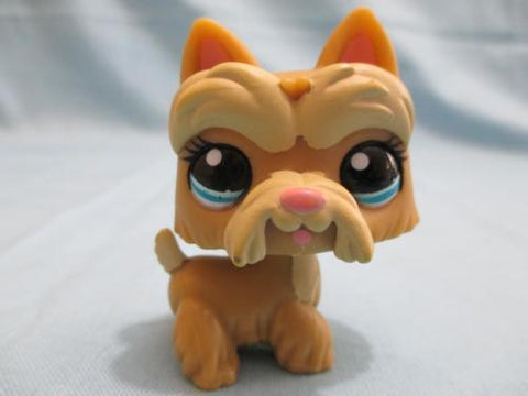 Littlest Pet Shop Dog 1260 Scottie Puppy Carmel Brown Yellow Authentic Lps MAY17J  SEE VIDEO