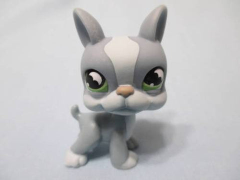 Littlest Pet Shop Puppy Dog 857 Grey Boston Terrier with Bat Eyes Authentic LPS Minor Wear Dec10n