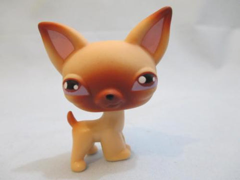 Littlest Pet Shop Chihuahua 1 Tan Brown With Purple Eyes Puppy Dog Authentic Lps SEE VIDEO JUN03J