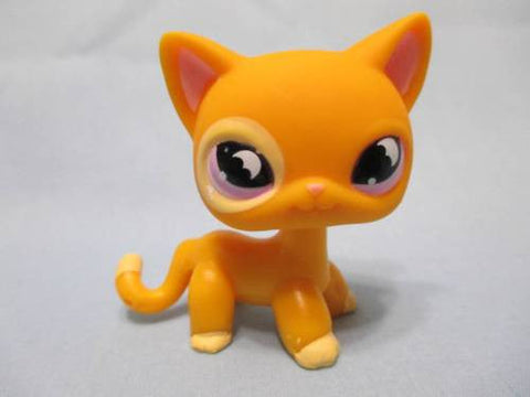 Littlest Pet Shop Shorthair Siamese Cat Orange 855 Moon Eyes Authentic Lps MAY21J