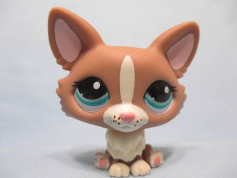 Littlest Pet Shop Dog Corgi Brown Tan and Cream Welsh 1864 Has Initial Apr8n