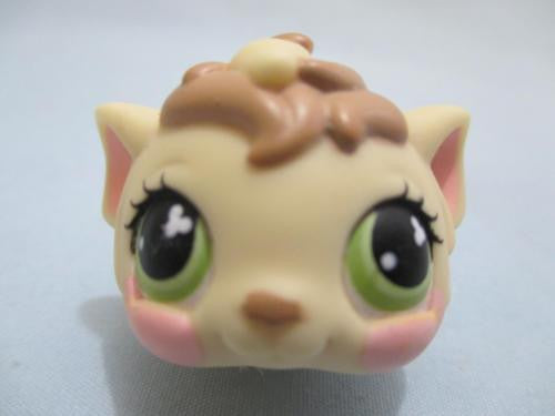 Littlest Pet Shop Brown Tan Cream Green Eyes Angora Guinea Pig 494 AUG01J