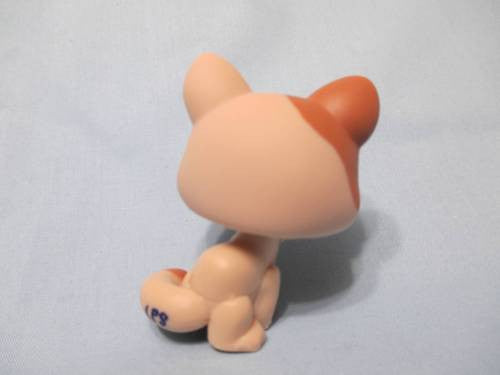Littlest Pet Shop Shorthair 1363 Tan Brown Paw Licking Kitty Cat Authentic Minor Wear APR13J86