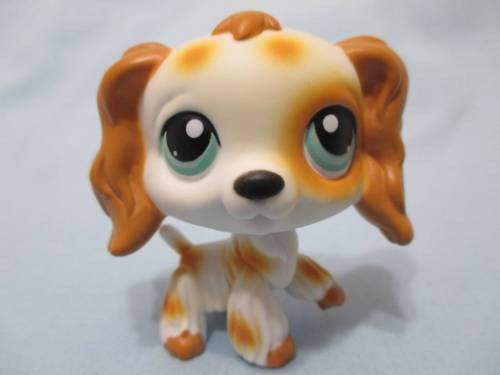LIKE NEW Littlest Pet Shop Dog Cocker Spaniel 344 Blue Eyes Authentic Feb2ni