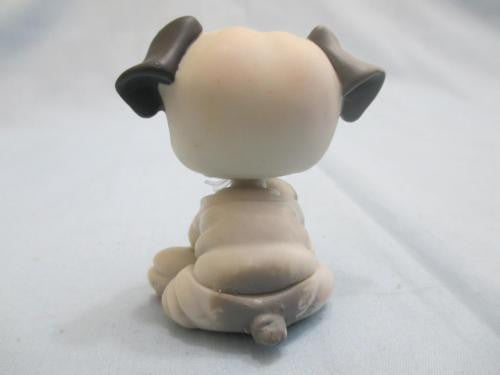 LIKE NEW Littlest Pet Shop 446 Gray English Bulldog Puppy Grey Dog Paw Up Authentic Lps SEE VIDEO So Much In Love Episode 32 Feb2ni