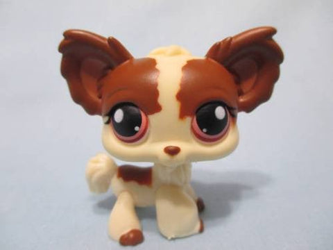 LIKE NEW Littlest Pet Shop Chihuahua Dog Red Eyes 385 Brown Cream Authentic APR28J