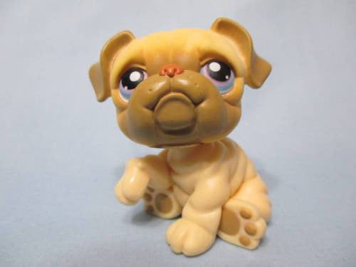 Littlest Pet Shop Bulldog 135 Yellow and Brown Pink Blue Eye Dog Authentic Lps Jan28ni
