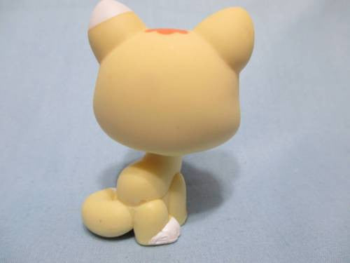 Littlest Pet Shop 1821 Yellow Kitty Cat Licking Paw Authentic AUG15J