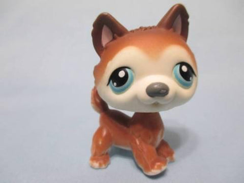 Littlest Pet Shop 68 Brown White Husky Blue Eyes Puppy Dog Authentic Lps  MAY19J