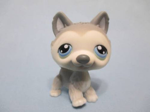 LIKE NEW Littlest Pet Shop 69 Gray & White Husky Puppy Dog Authentic Mar31npo60