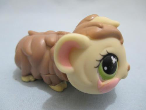 Littlest Pet Shop Brown Tan Cream Green Eyes Angora Guinea Pig 494 AUG01J