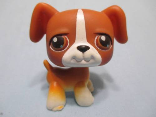 Littlest Pet Shop DOG Boxer Chocolate Brown 25 Authentic LPS OCT26J