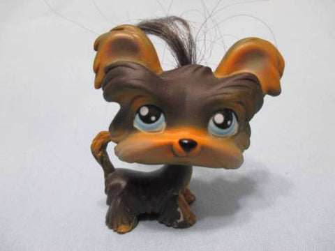 Littlest Pet Shop Shih Tzu Yorkie 141 Brown w/ Blue Eyes and Real Hair Dog Lovely Lps MY03J