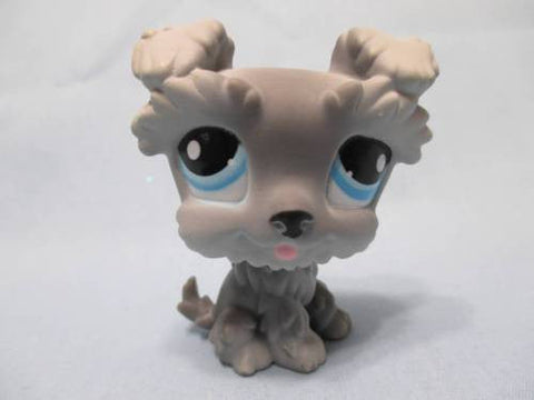 LIKE NEW Littlest Pet Shop Dog Schnauzer Yorkie Grey with Blue Eyes 1393 Authentic Lps MAY07J