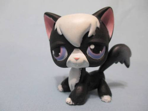 Littlest Pet Shop  Black White Angora Kitty Cat with Purple Eyes