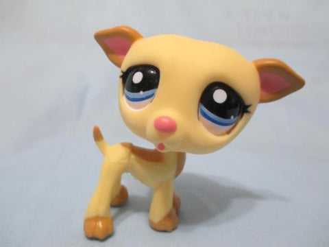 Littlest Pet Shop 2041 Yellow Greyhound With Blue Eyes Puppy Dog Authentic May22npo45