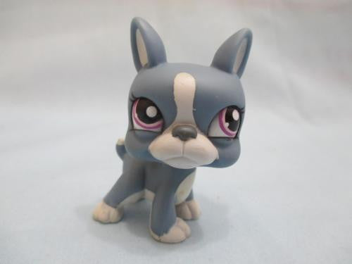 Littlest Pet Shop Dog Puppy Boston Terrier with Pink Eyes 1025 Authentic Lps Mar29npo21