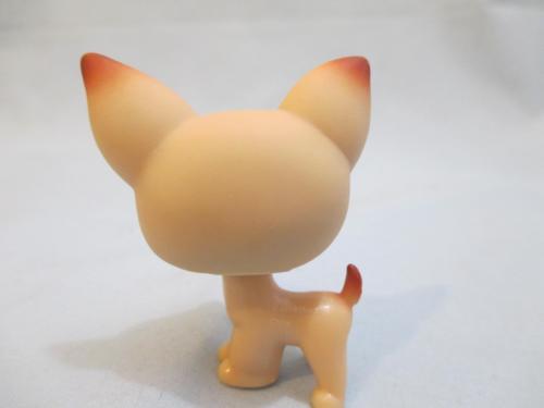 Littlest Pet Shop Chihuahua 1 Tan Brown With Purple Eyes Puppy Dog Authentic Lps Dec19ni
