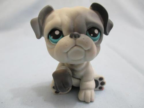 LIKE NEW Littlest Pet Shop 446 Gray English Bulldog Puppy Grey Dog Paw Up Authentic Lps SEE VIDEO So Much In Love Episode 32 Feb2ni