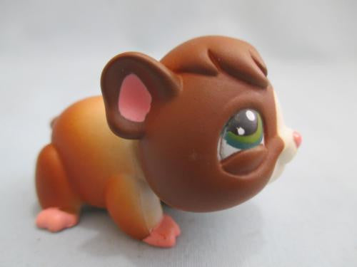 LIKE NEW Littlest Pet Shop Dark Brown Guinea 4 Pig Pink Feet & Green Eyes Authentic Feb18ni