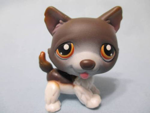 Littlest Pet Shop 174 Chocolate Brown White Husky RARE Dog Puppy Authentic Spin Head MAY06J
