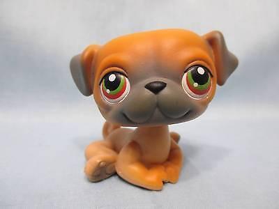 LIKE NEW Littlest Pet Shop Dog Pug Puppy Brown Caramel with Green and Red Eyes Number 2 Authentic Lps may13n