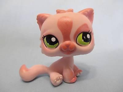 Littlest Pet Shop Pink Persian Cat 1083 Kitty Authentic SEE VIDEO Minor Wear May24ni