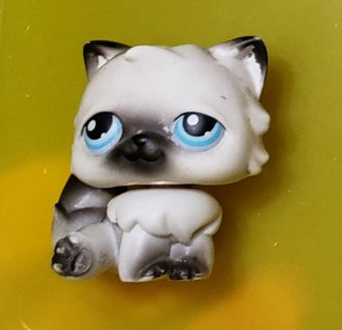 Littlest Pet Shop 60 Gray Black & White Persian Kitty Cat Authentic Lps Minor Wear MAY14J86