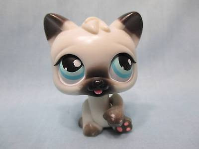 Littlest Pet Shop Magic Motion Persian Cat Authentic Lps Apr26ni