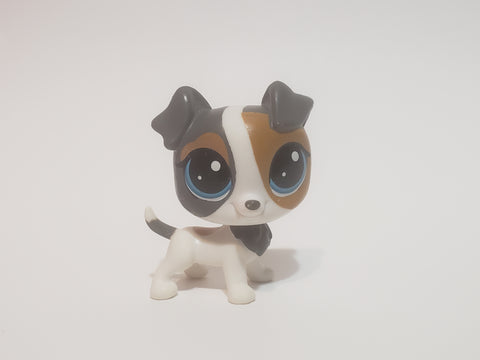 LIKE NEW Littlest Pet Shop Rare Jack Russell Scamps Russo 198 Puppy Dog Lps Authentic AIK DEC16JHR WW