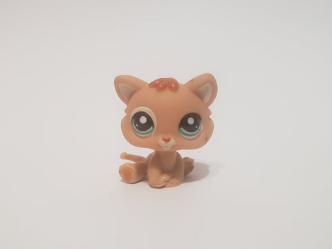 LIKE NEW Littlest Pet Shop Rare Orange Cat Baby Kitten 1948 Patch Teal Eyes Authentic LPS  AIK DEC16JHR-31902