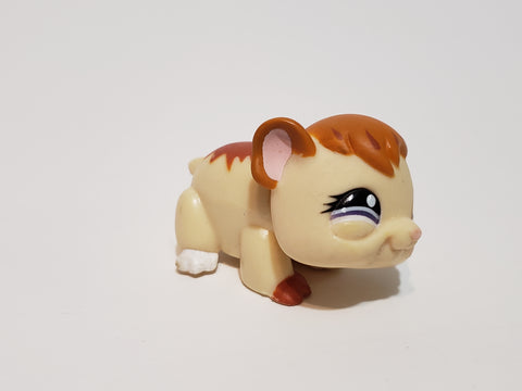 LIKE NEW Littlest Pet Shop 1044 Hamster Guinea Pig Purple Eyes Authentic LPS AIK jan20nhr