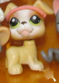 LIKE NEW Littlest Pet Shop Dog Boxer 235 W Original Accessory Authentic Lps JAN13NPO2